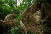 Buena Vista Lodge & Adventure Guanacaste Luaran gambar