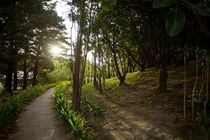 Buena Vista Lodge & Adventure Guanacaste Luaran gambar
